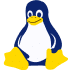 linux VPS