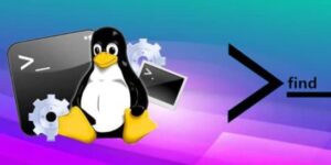 Finding Linux with the find command
